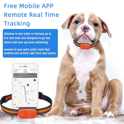 G51 2/4G Waterproof GPS Tracker for Dogs - Smart Anti-Lost Locator with Remote Control and APP Features